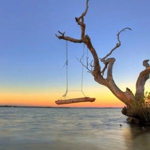 Meet your Posher, Darrell